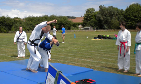 Demo 2010 Wrist throw